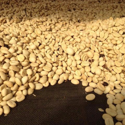 Italian Roast - Image 5