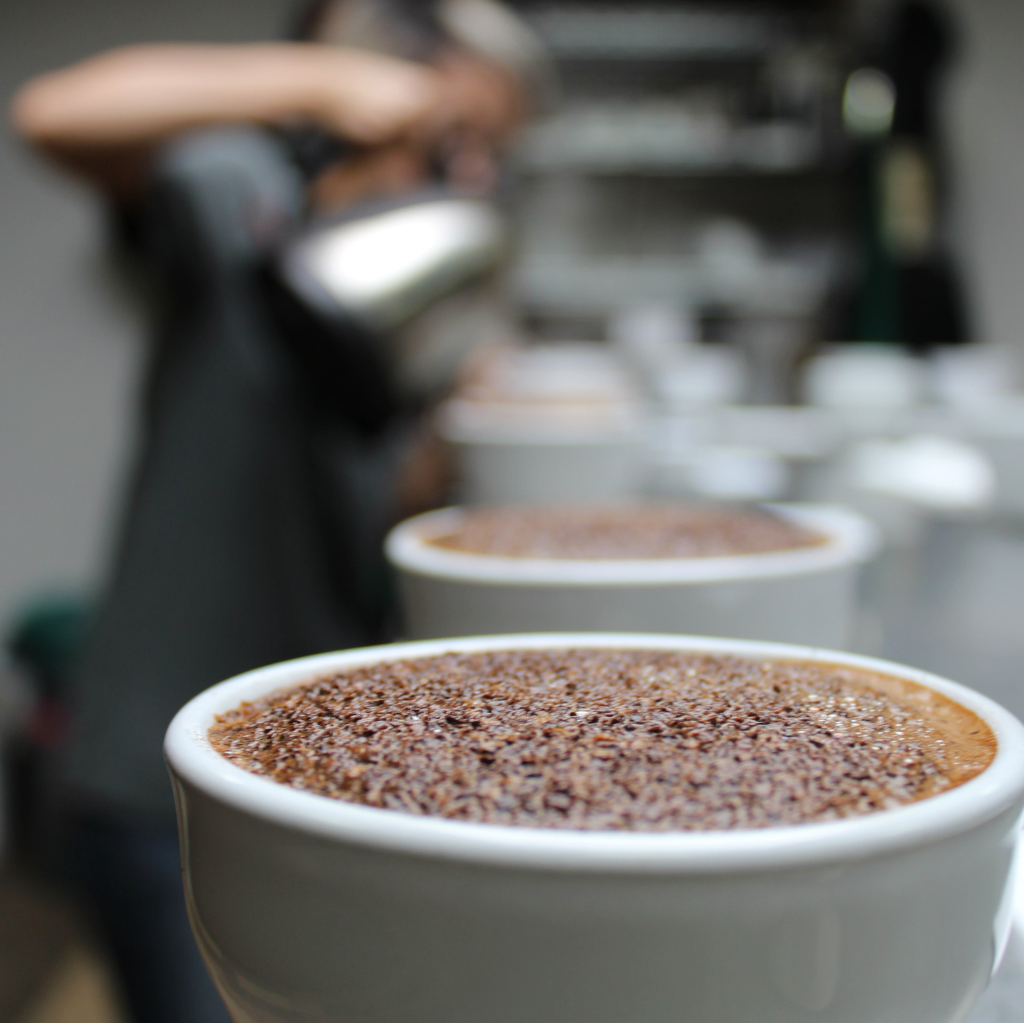 Seed to Cup - How Does Coffee Get Its Flavor?