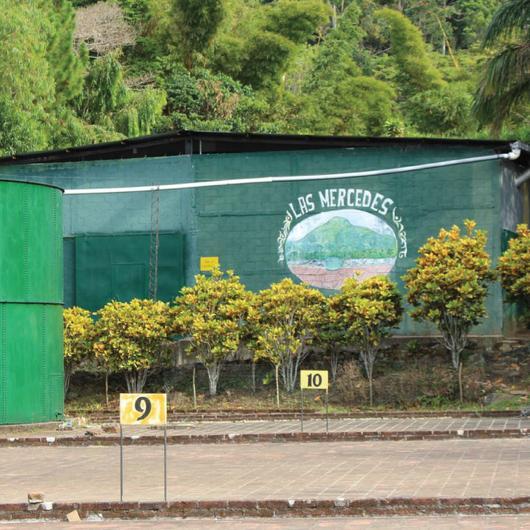 Classics Single Origin Coffee Trio Gift Set - Image 6