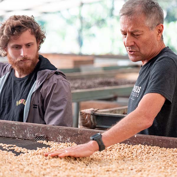 Classics Single Origin Coffee Trio Gift Set - Image 4